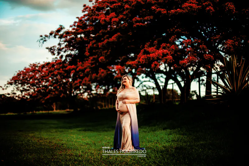 Ensaio Gestacional - Jordana Sandrin — foto 12
