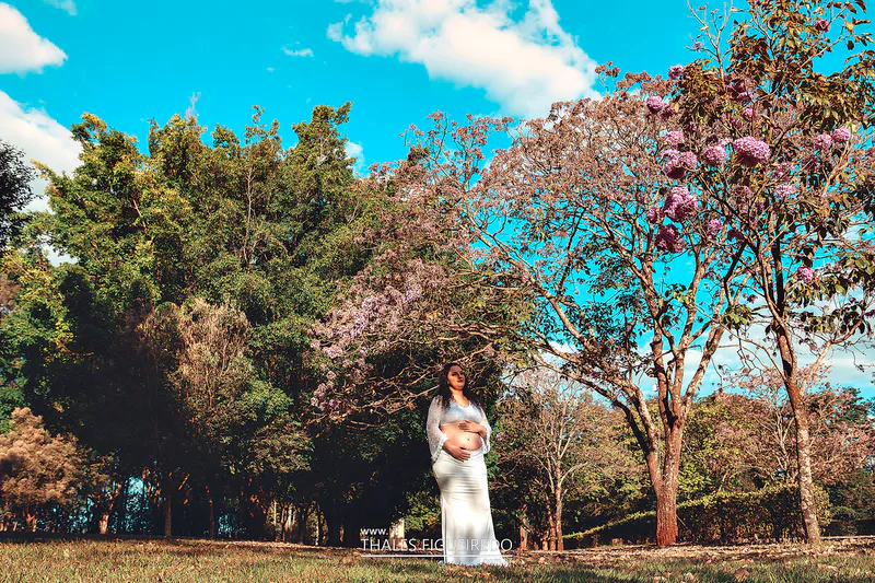 Ensaio Gestante Nadia — foto 5