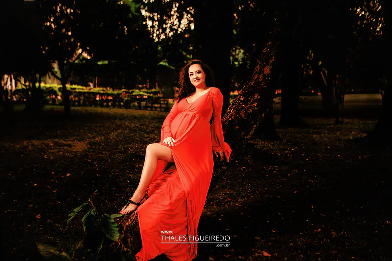 Ensaio Gestacional - Carol Peres