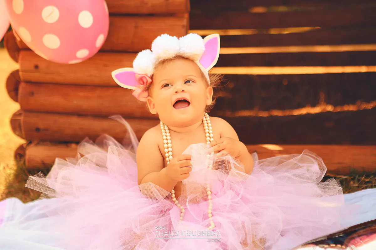 Ensaio Infantil Hillary — capa
