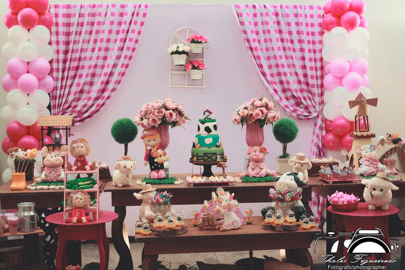 Aniversario Infantil Sophia — foto 2