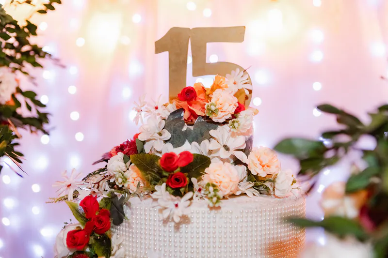 15 Anos Gabriela — foto 11