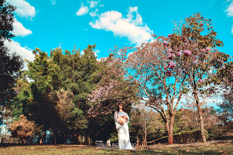 Ensaio Gestante Nadia — foto 6