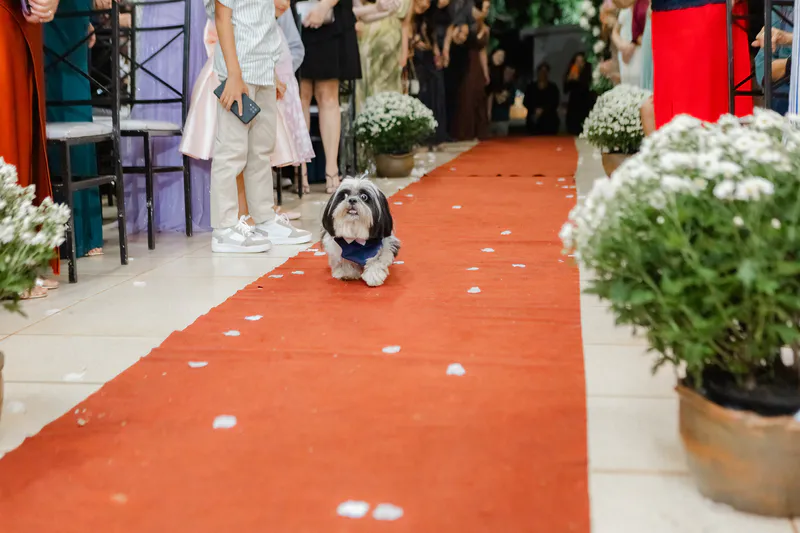 Casamento Bianca e Joao — foto 52